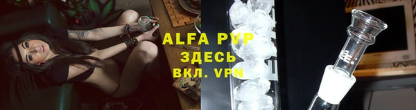 индика Балахна