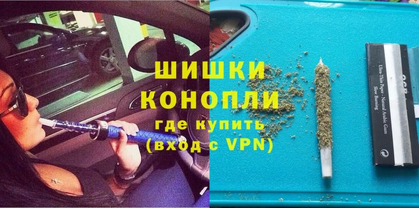 шишки Дмитров
